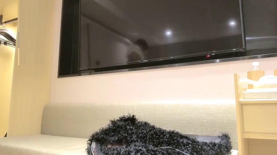 3번째 사진